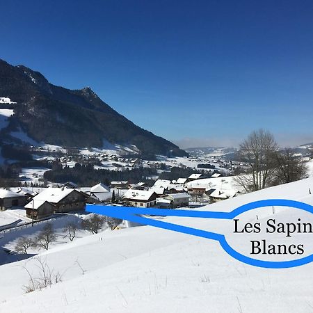 Appartamento Les Sapins Blancs Vacheresse Esterno foto