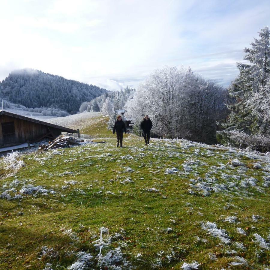 Appartamento Les Sapins Blancs Vacheresse Esterno foto