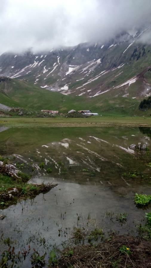 Appartamento Les Sapins Blancs Vacheresse Esterno foto