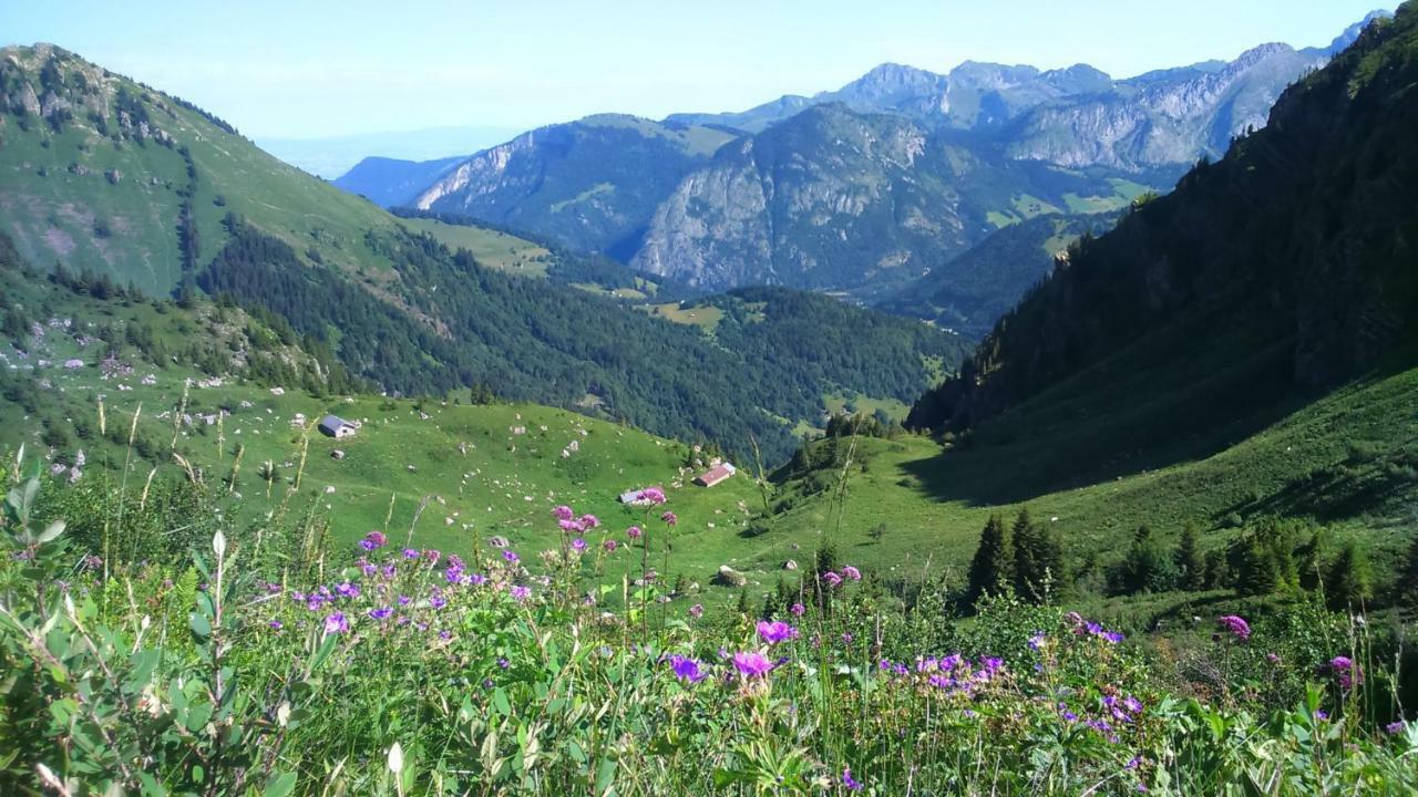 Appartamento Les Sapins Blancs Vacheresse Esterno foto