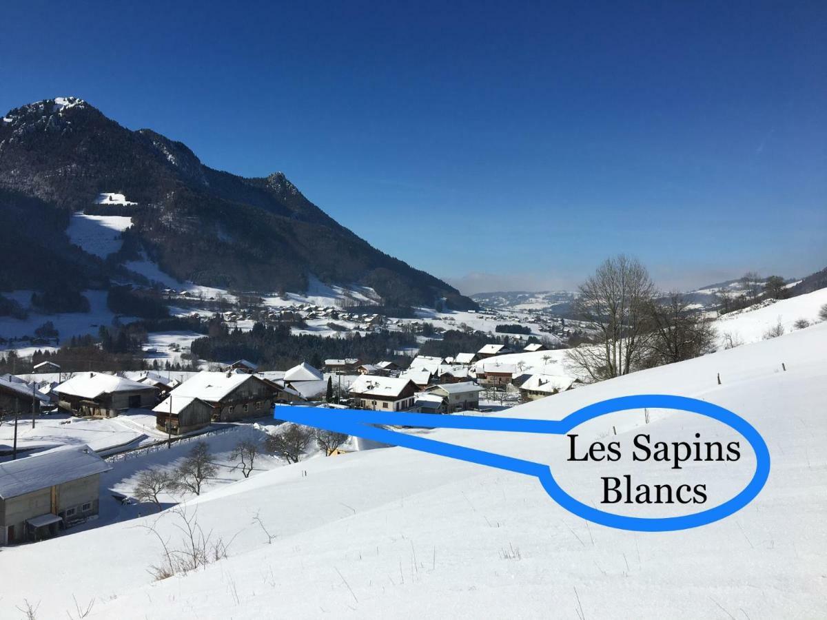 Appartamento Les Sapins Blancs Vacheresse Esterno foto