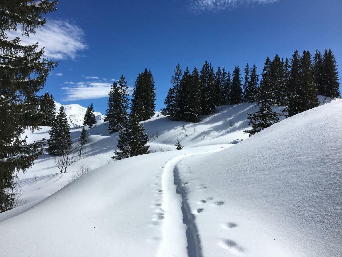 Appartamento Les Sapins Blancs Vacheresse Esterno foto